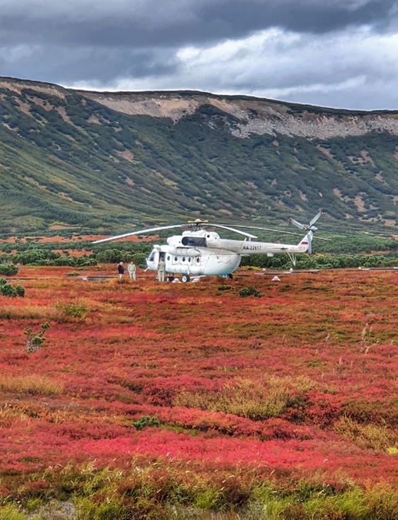 Фото организации