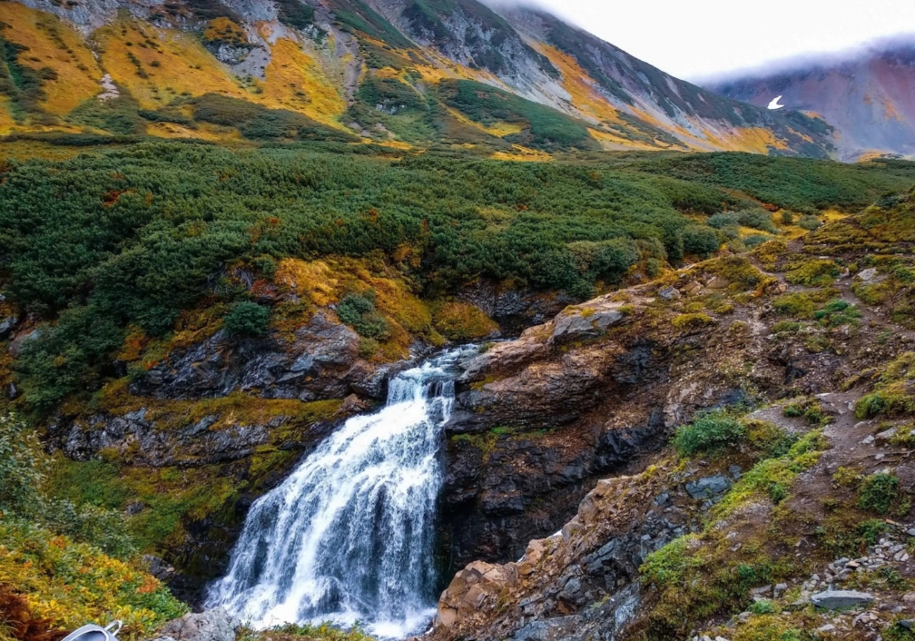 Фото организации