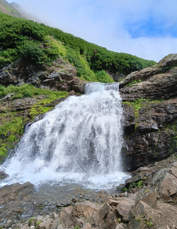 Фото организации