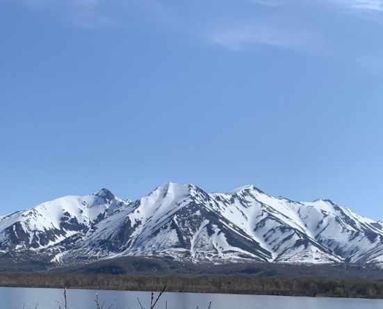 Фото организации