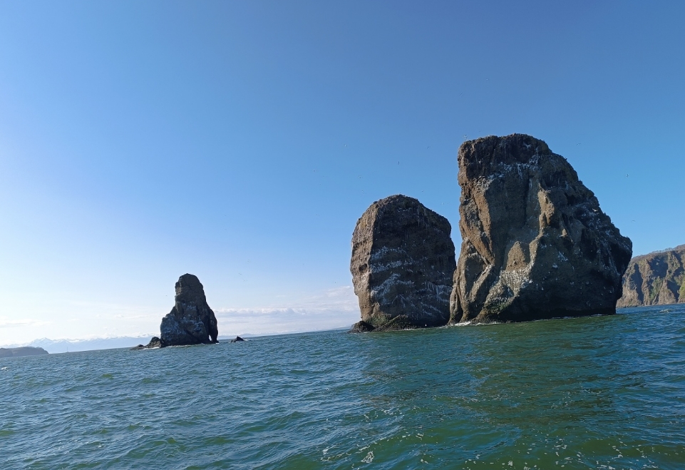 Фото организации