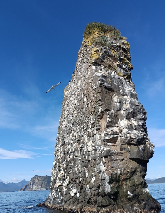 Фото организации