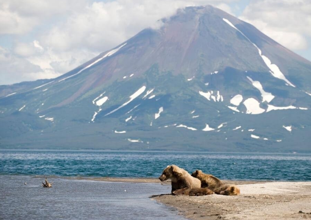 Фото организации