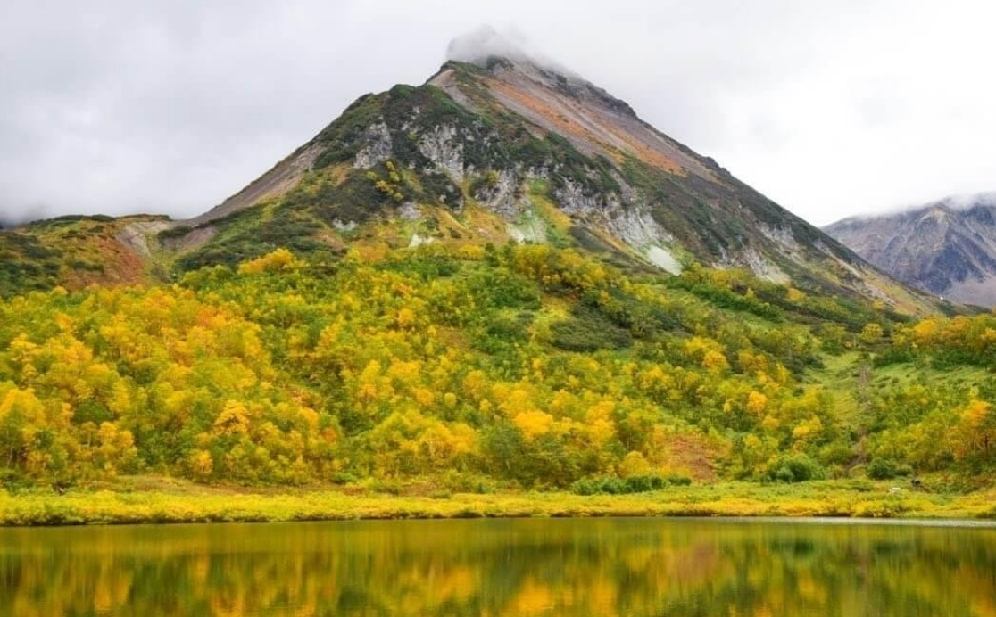 Фото организации