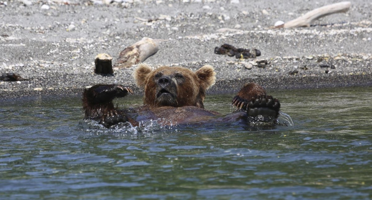 Фото организации
