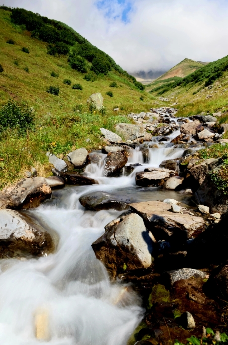 Фото организации
