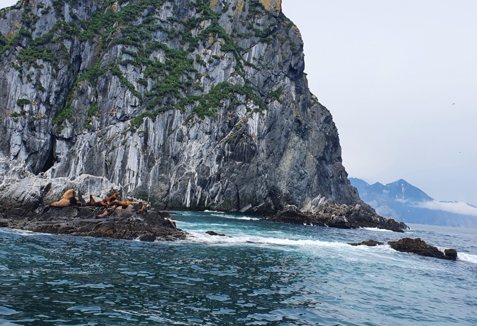 Фото организации