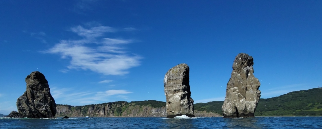 Фото организации