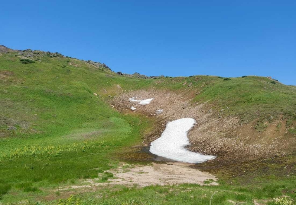 Фото организации