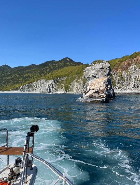 Фото организации