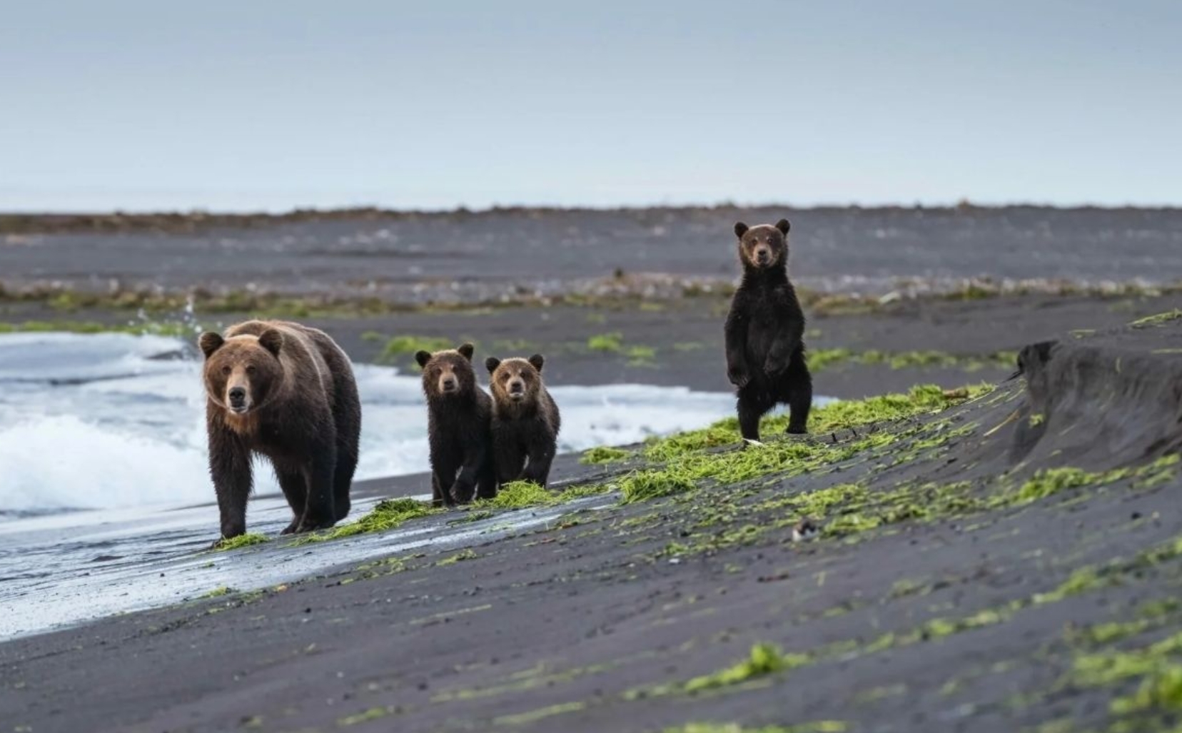 Фото организации