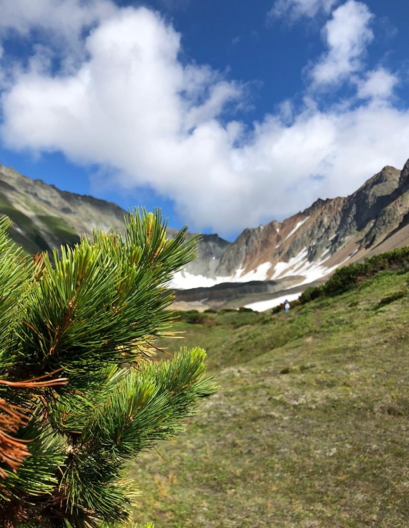 Фото организации
