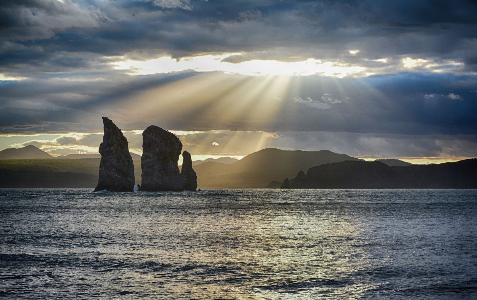 Фото организации