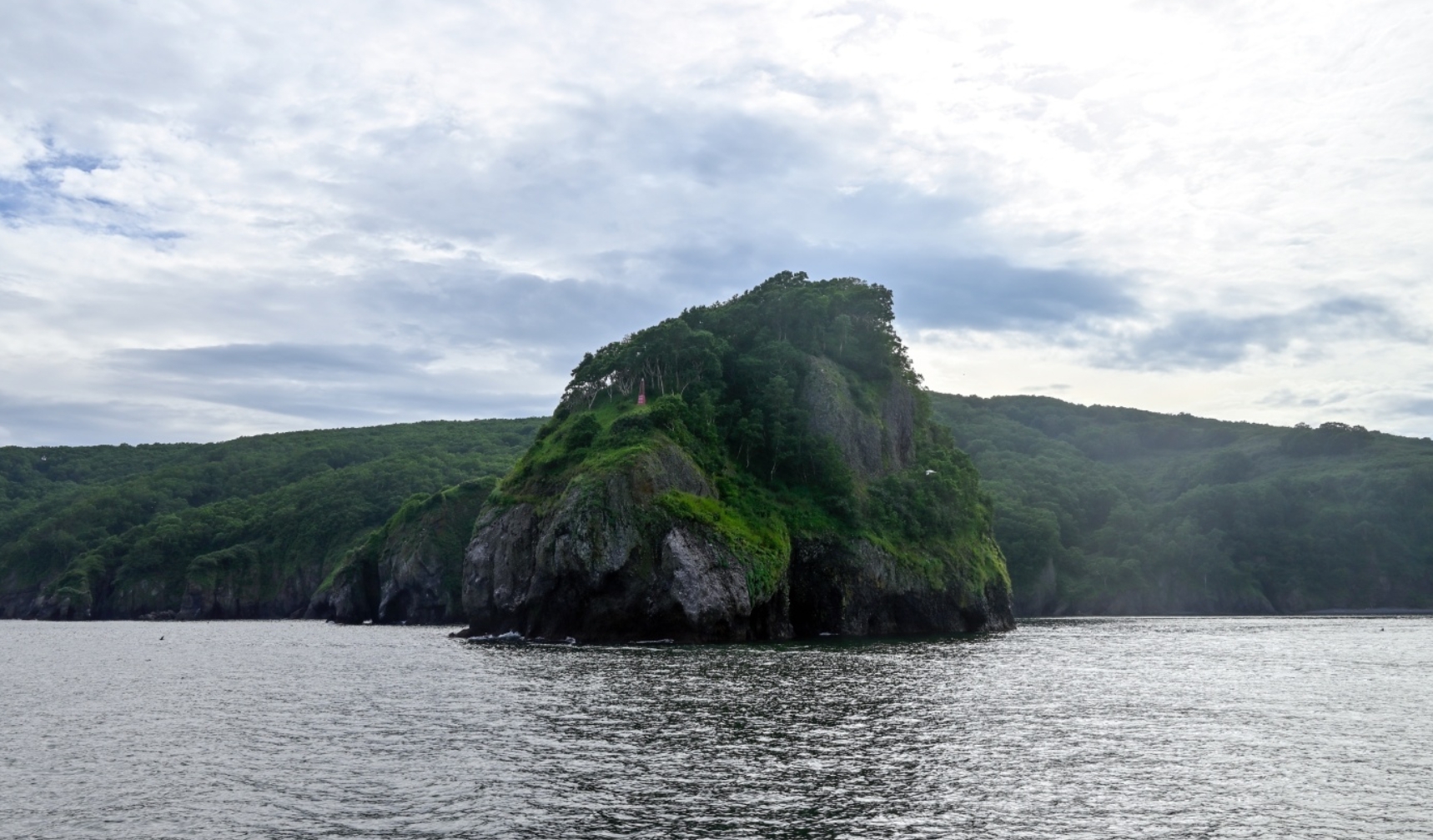 Фото организации