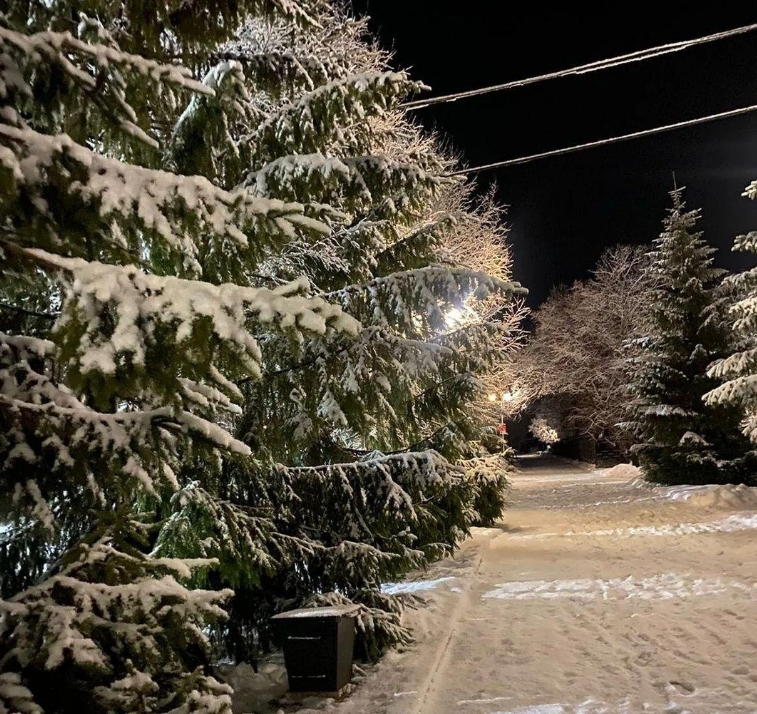 Фото организации