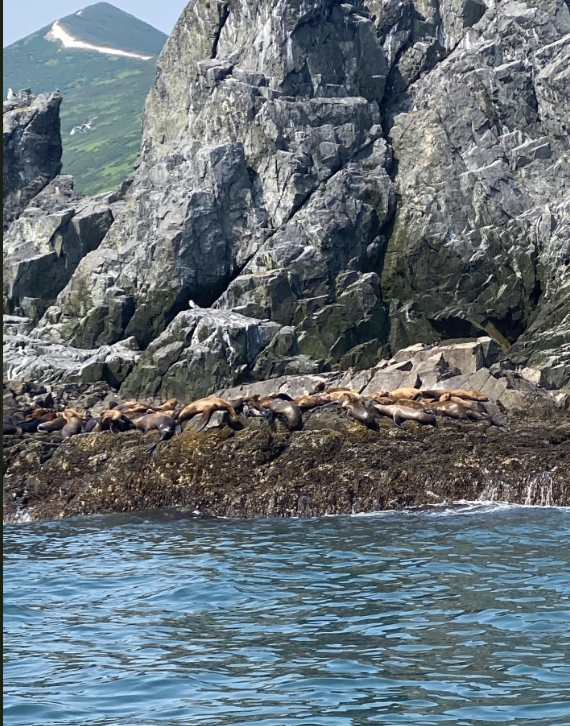 Фото организации