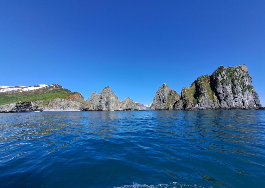 Фото организации