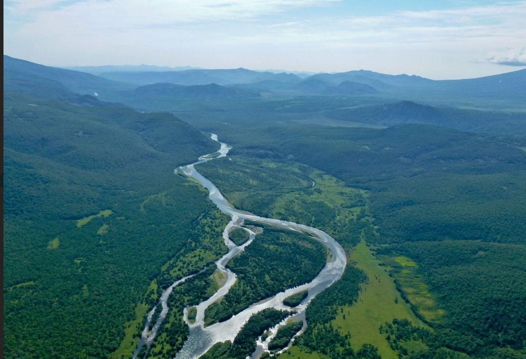 Фото организации