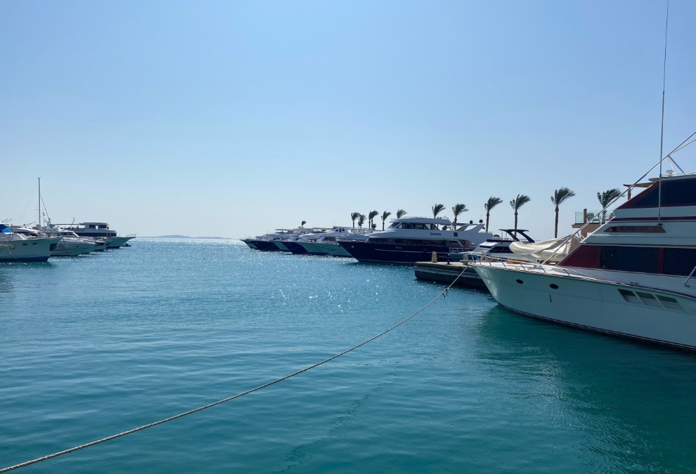 Фото организации