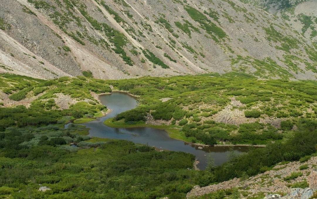 Фото организации