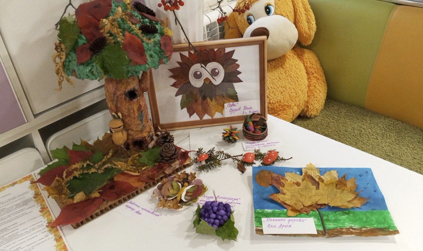 Фото организации