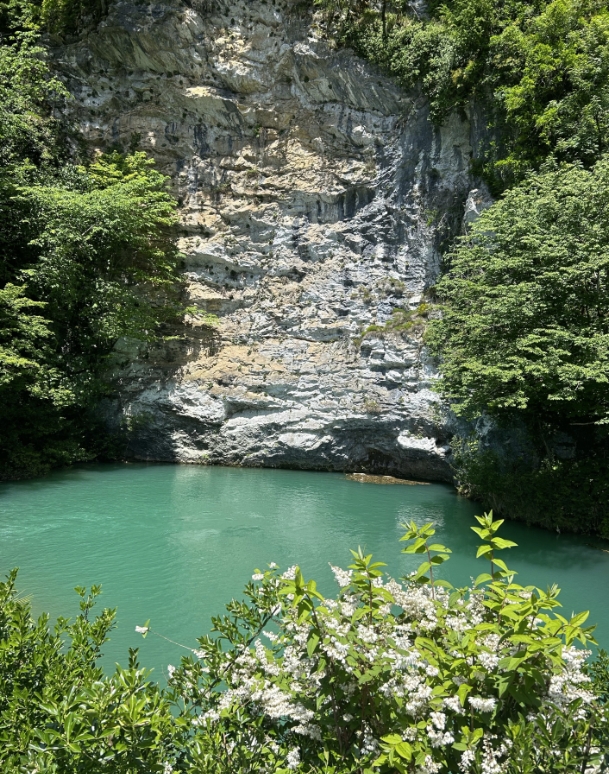 Фото организации