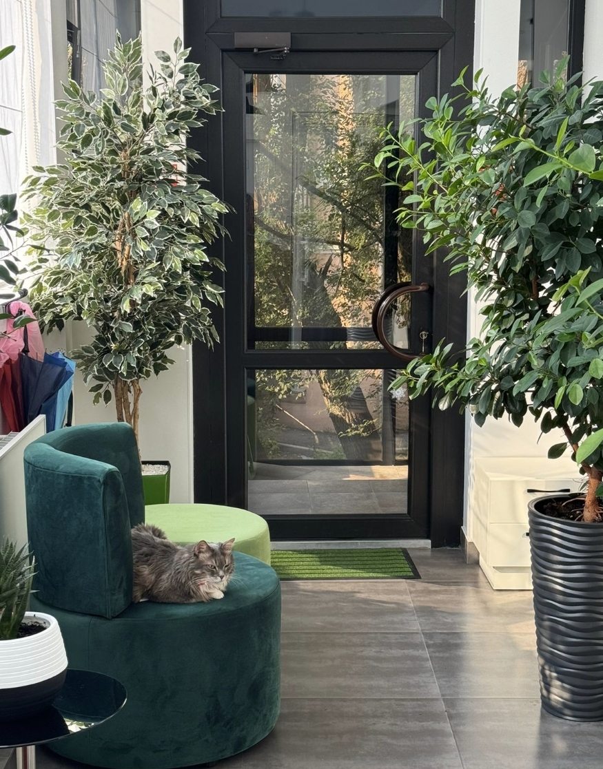 Фото организации