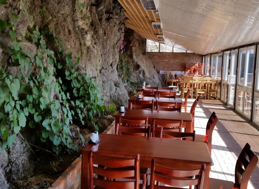 Фото организации